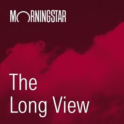 Artwork for The Long View