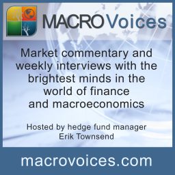 Artwork for Macro Voices