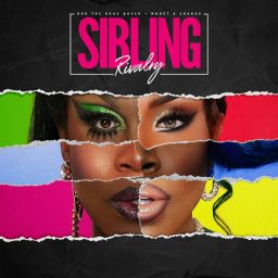 Artwork for Sibling Rivalry
