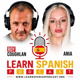 Artwork for Learn Spanish
