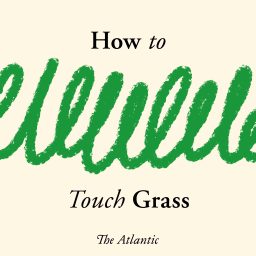 Artwork for How to Touch Grass