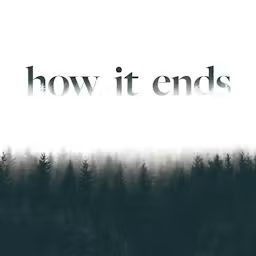 Artwork for How it Ends