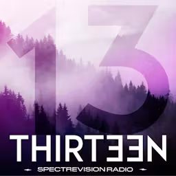 Artwork for Thirteen