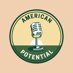 Artwork for American Potential
