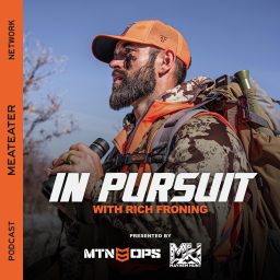 Artwork for In Pursuit