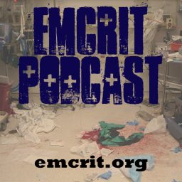Artwork for EMCrit FOAM Feed