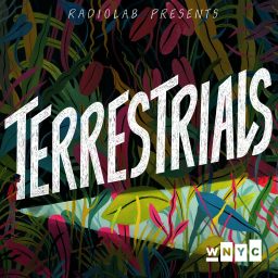 Artwork for Terrestrials