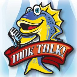 Artwork for Tank Talk