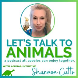 Artwork for Let's Talk to Animals