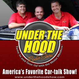 Artwork for Under The Hood show