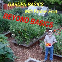 Artwork for Beyond the Garden Basics