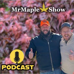Artwork for MrMaple Show