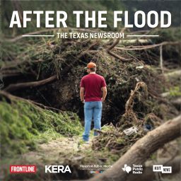 Artwork for After the Flood
