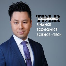 Artwork for The David Lin Report