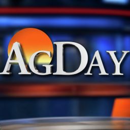 Artwork for AgDay Podcast