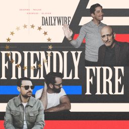 Artwork for Friendly Fire