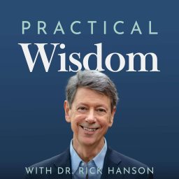 Artwork for Practical Wisdom with Dr. Rick Hanson