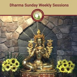 Artwork for Dharma Sunday