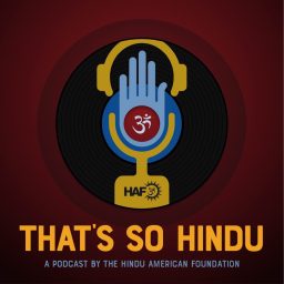 Artwork for That's So Hindu