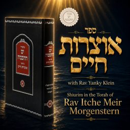 Artwork for Sefer Otzros Chaim