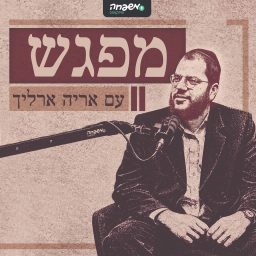Artwork for מפגש