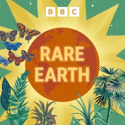 Artwork for Rare Earth