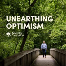 Artwork for Unearthing Optimism