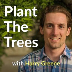 Artwork for Plant The Trees