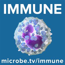 Artwork for Immune