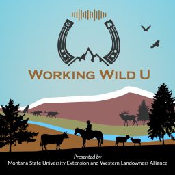 Artwork for Working Wild U