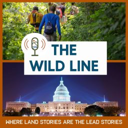 Artwork for The Wild Line