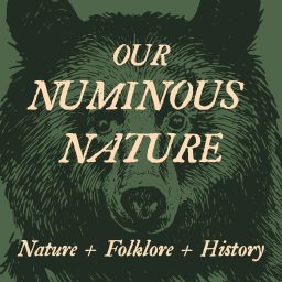 Artwork for Our Numinous Nature