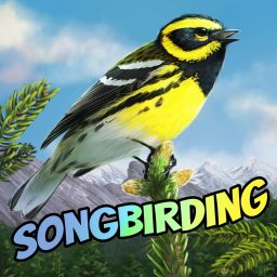 Artwork for Songbirding