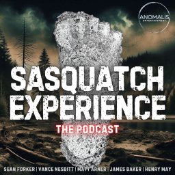Artwork for Sasquatch Experience