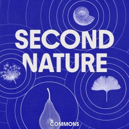 Artwork for Second Nature