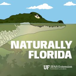 Artwork for Naturally Florida