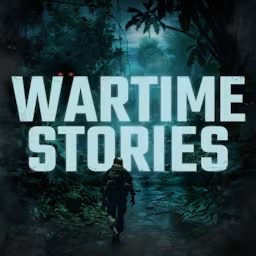 Artwork for Wartime Stories