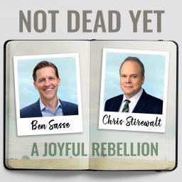 Artwork for Not Dead Yet