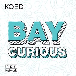 Artwork for Bay Curious