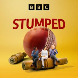 Artwork for Stumped