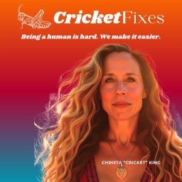 Artwork for Cricket Fixes
