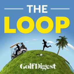 Artwork for The Loop
