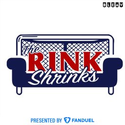Artwork for The Rink Shrinks