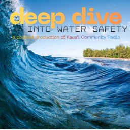 Artwork for Deep Dive Into Water Safety