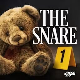 Artwork for The Snare