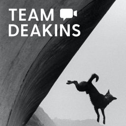 Artwork for Team Deakins