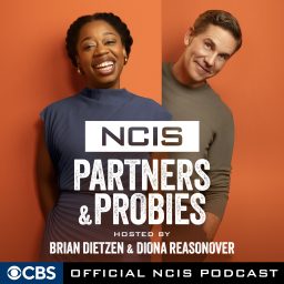 Artwork for NCIS: Partners & Probies