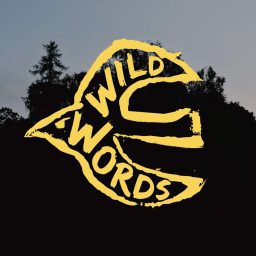 Artwork for Wild Words