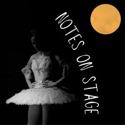 Artwork for Notes on Stage
