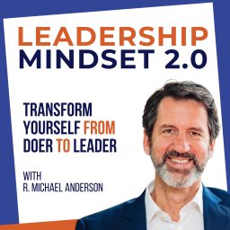 Artwork for Leadership Mindset 2.0